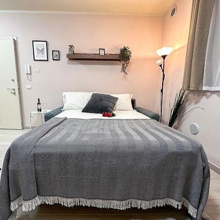 La Rosa Dei Venti Con Parcheggio E Ampio Giardino In Centro Apartment Lucca Luaran gambar